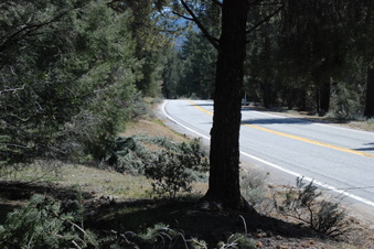 Enlarge photo 14