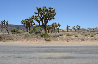Enlarge photo 3