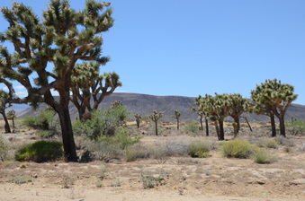 Enlarge photo 5