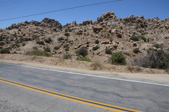 Enlarge photo 19