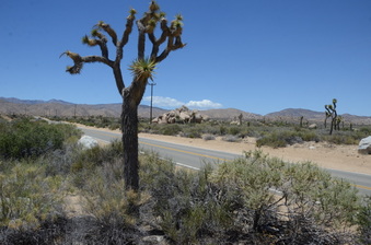 Enlarge photo 2