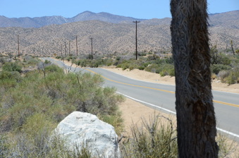 Enlarge photo 4
