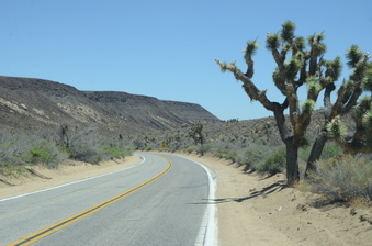 Enlarge photo 12