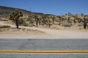 Enlarge photo 20