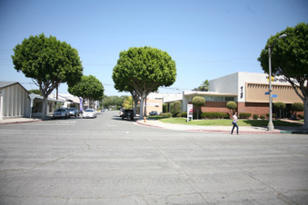 Enlarge photo 9