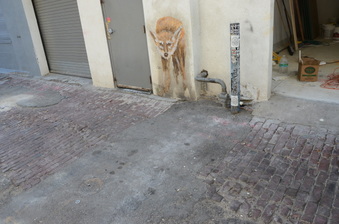 Enlarge photo 17