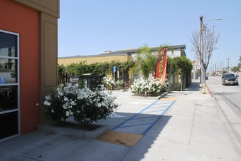 Enlarge photo 16