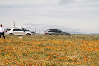 Enlarge photo 3