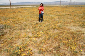 Enlarge photo 9