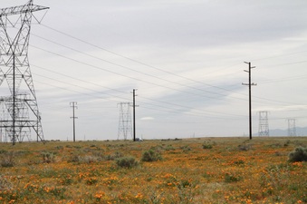 Enlarge photo 12