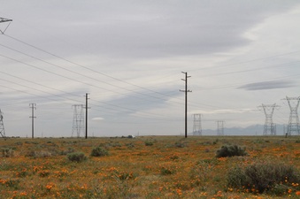 Enlarge photo 13