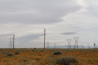 Enlarge photo 14