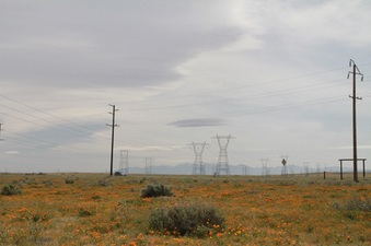 Enlarge photo 15