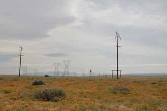 Enlarge photo 16