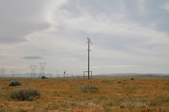 Enlarge photo 17
