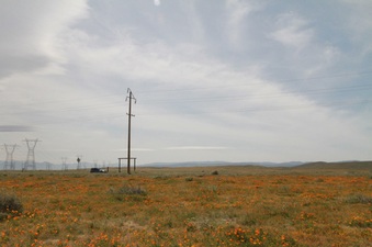 Enlarge photo 18