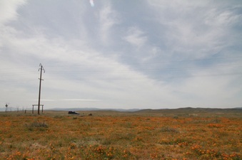 Enlarge photo 19