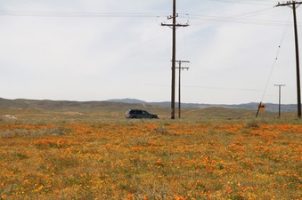 Enlarge photo 21