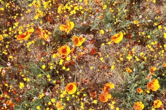 Enlarge photo 23