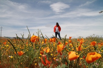 Enlarge photo 27