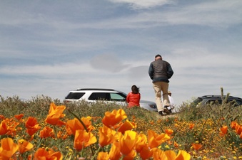 Enlarge photo 32