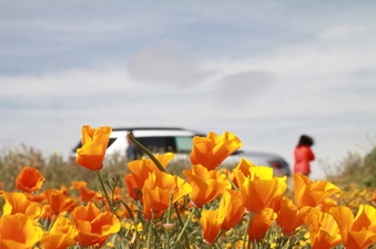 Enlarge photo 33