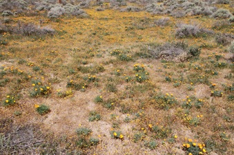 Enlarge photo 35