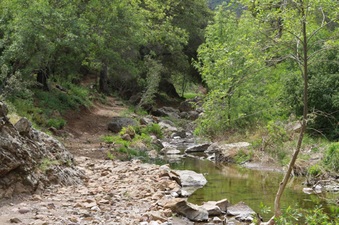 Enlarge photo 3