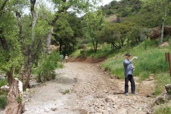 Enlarge photo 4