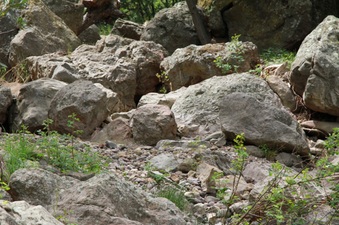 Enlarge photo 10