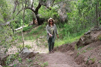 Enlarge photo 12