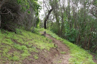 Enlarge photo 5