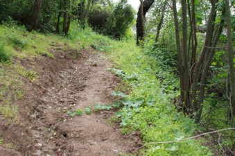 Enlarge photo 6