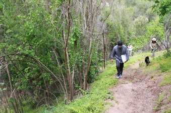 Enlarge photo 7