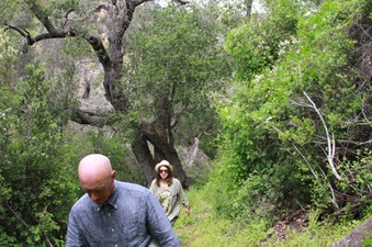 Enlarge photo 8