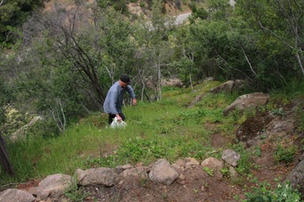 Enlarge photo 18
