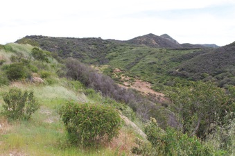Enlarge photo 24
