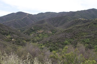 Enlarge photo 29
