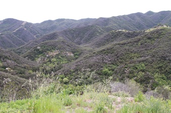 Enlarge photo 30