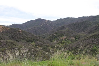 Enlarge photo 31