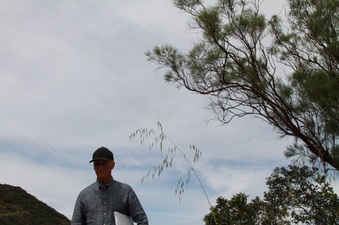 Enlarge photo 40