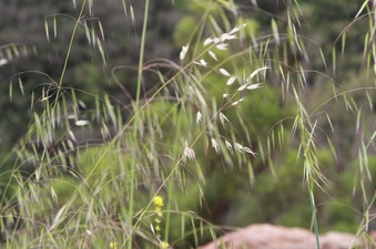 Enlarge photo 41