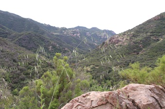 Enlarge photo 43