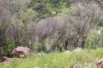 Enlarge photo 50