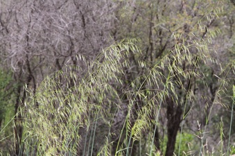 Enlarge photo 51