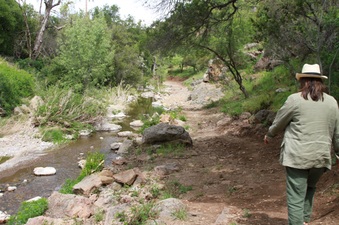 Enlarge photo 64