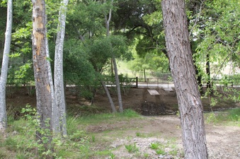 Enlarge photo 67