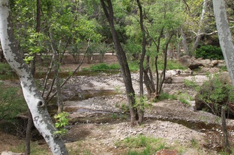 Enlarge photo 69