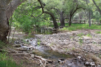 Enlarge photo 71
