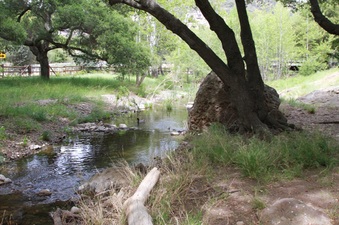 Enlarge photo 72